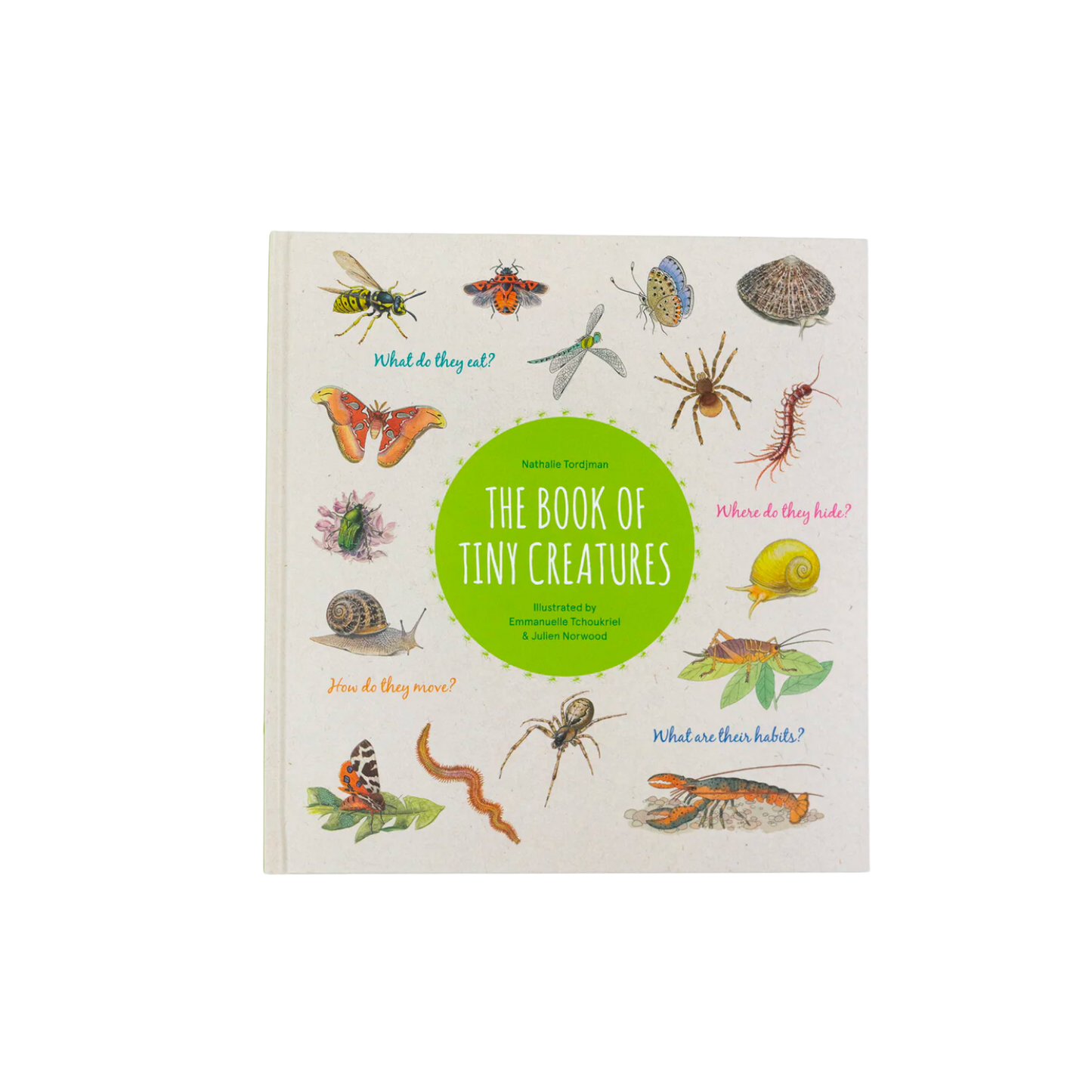the book of tiny creatures by nathalie tordhman