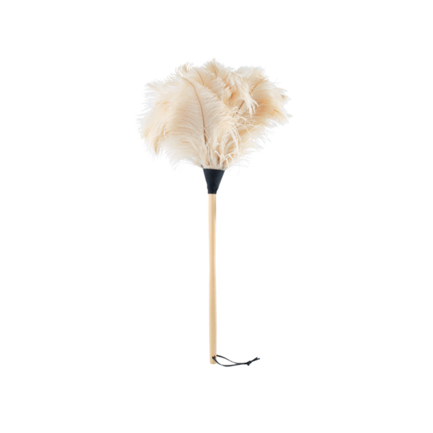 Ostrich feather duster