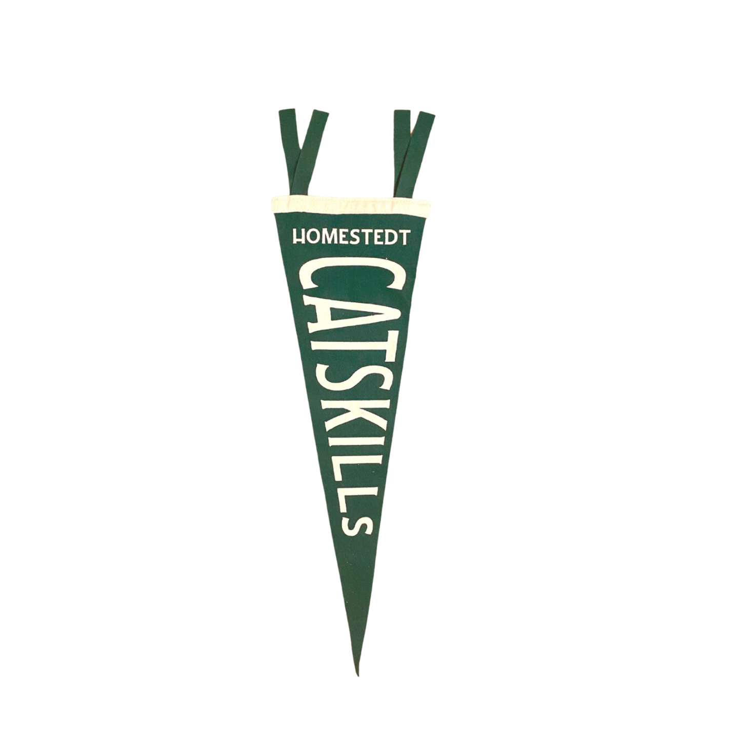 Catskills Camp Pennant