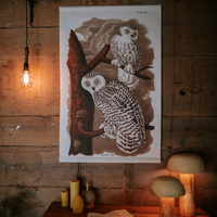 Canvas Wall Hanging - Snowy Owl