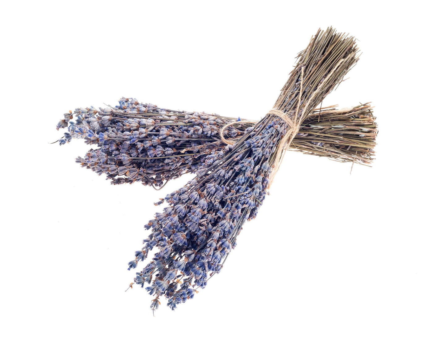 Fragrant Dried Pressed French Lavender Flowers