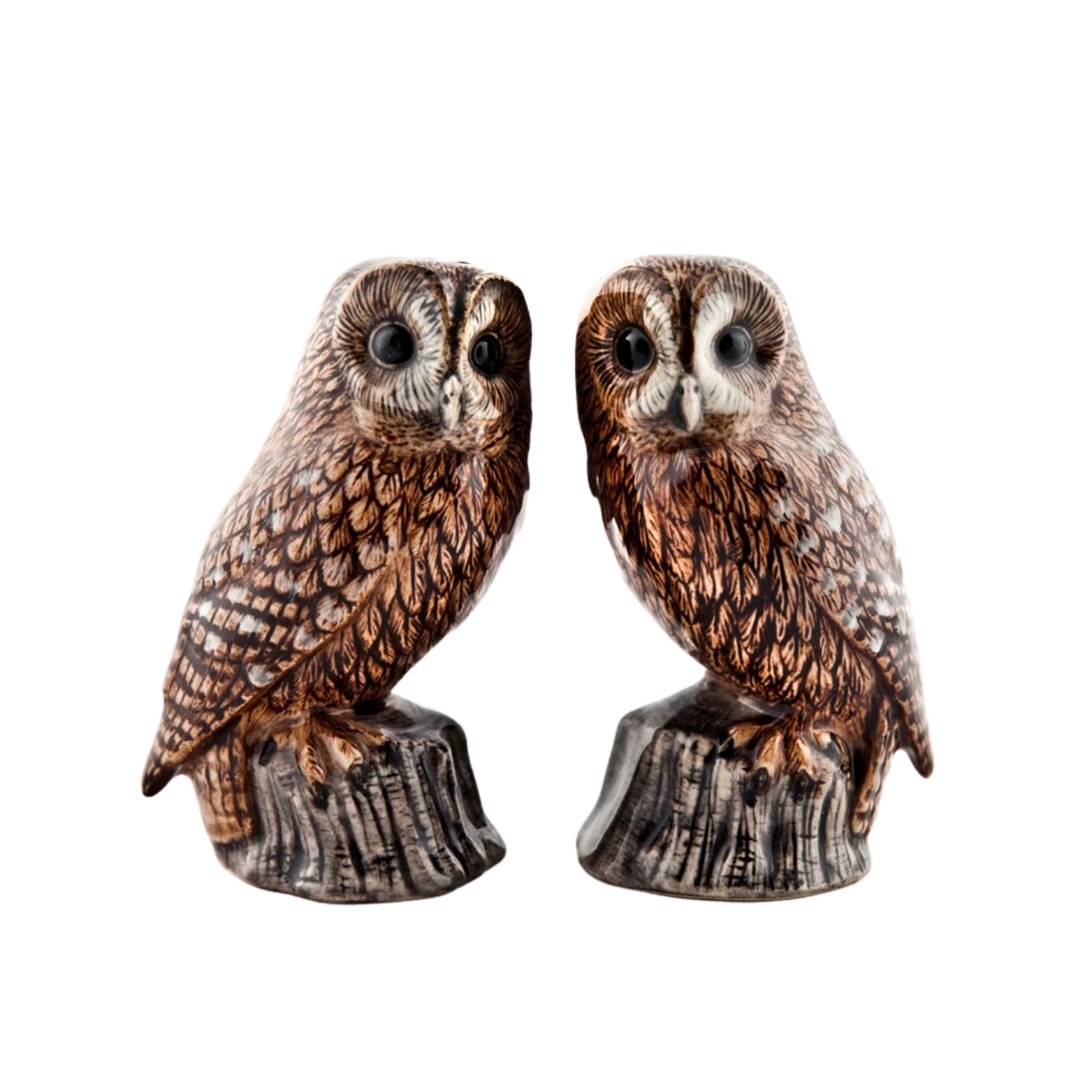 Tawny owl salt and pepper shaker