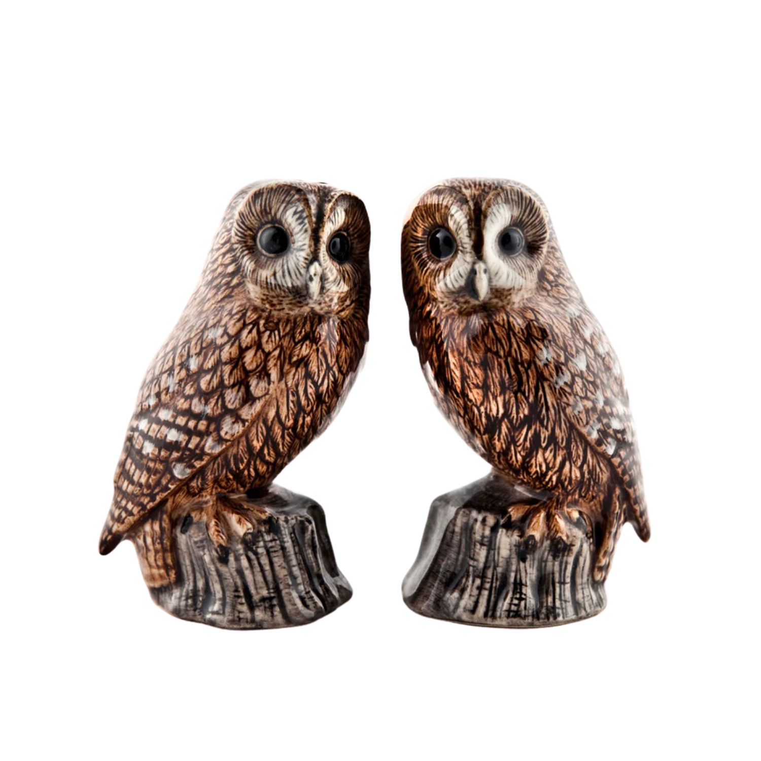 Tawny owl salt and pepper shaker