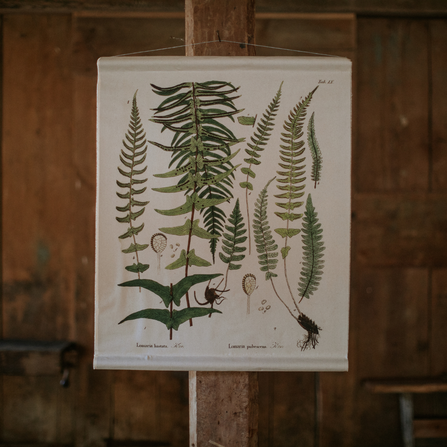 Canvas Wall Hanging - Felt Fern