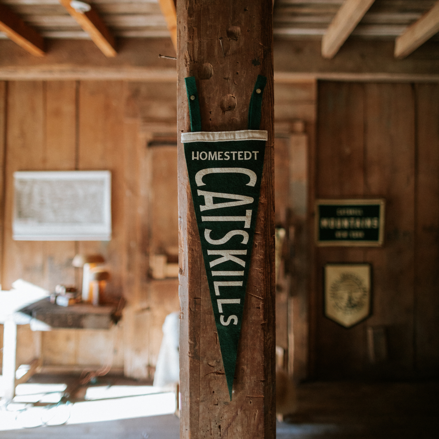 Catskills Camp Pennant