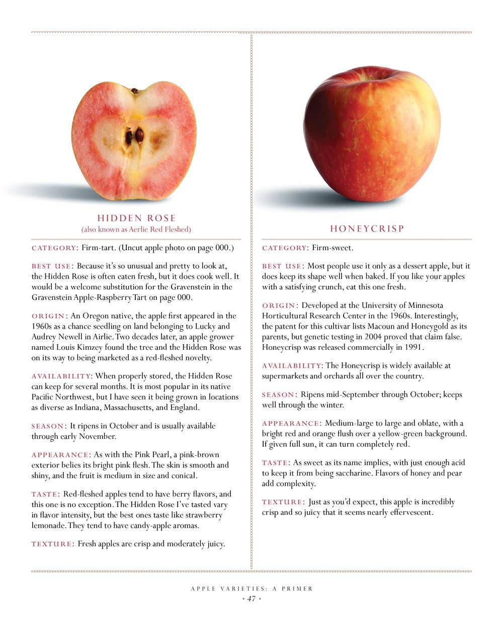 The Apple Lover's Cookbook: Revised and Updated