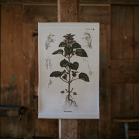 Canvas Wall Hanging - Purple Archangel Flower