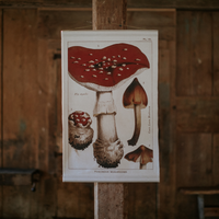 Canvas Wall Hanging - Fly Agaric Mushroom