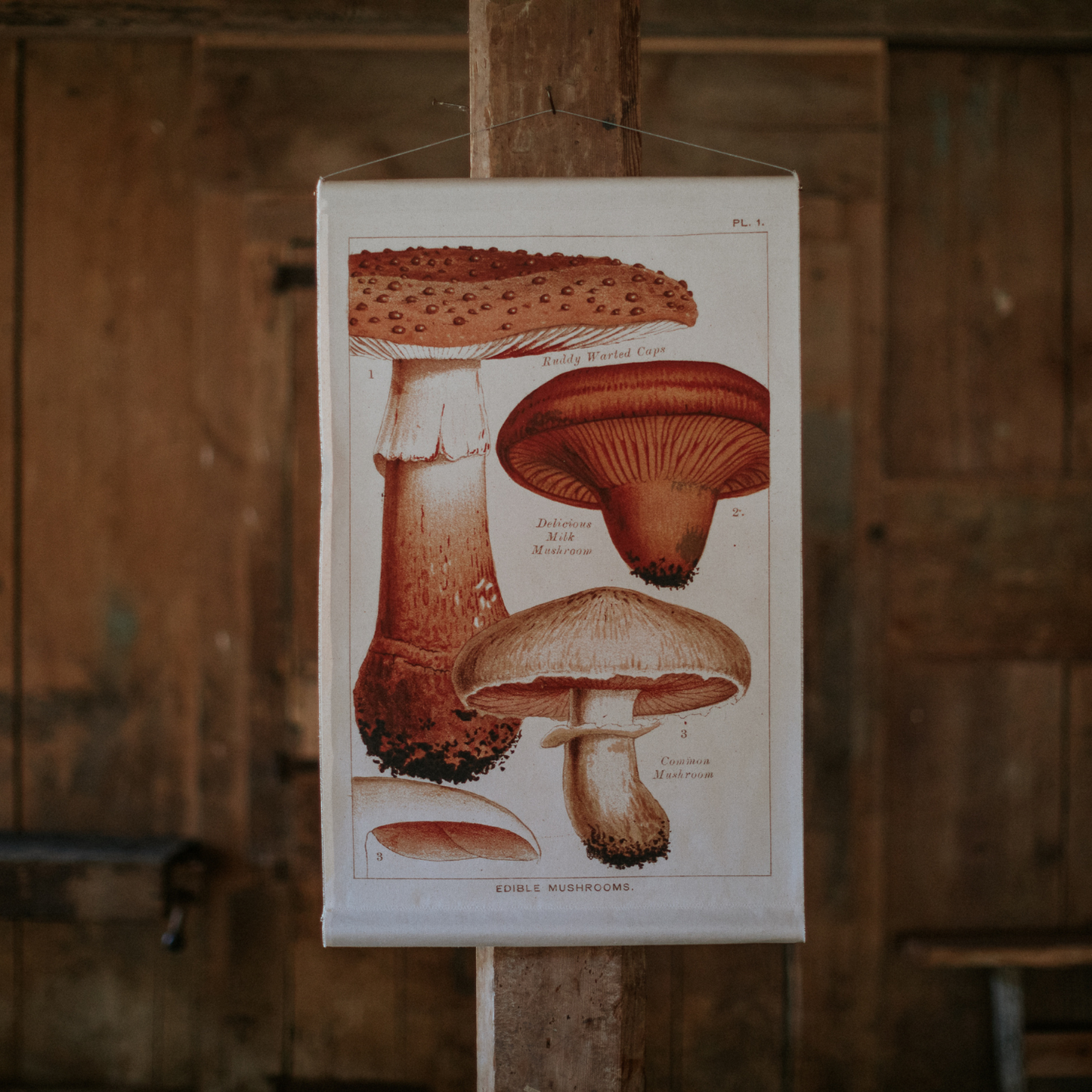 Canvas Wall Hanging - Milk Mushroom