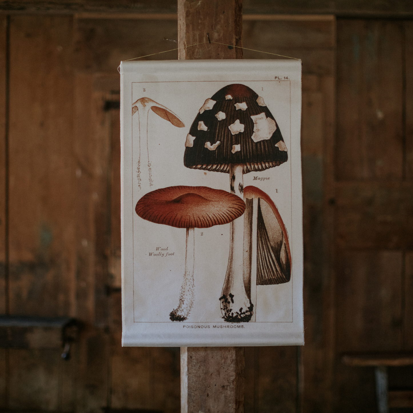 Canvas Wall Hanging - Magpie Mushroom