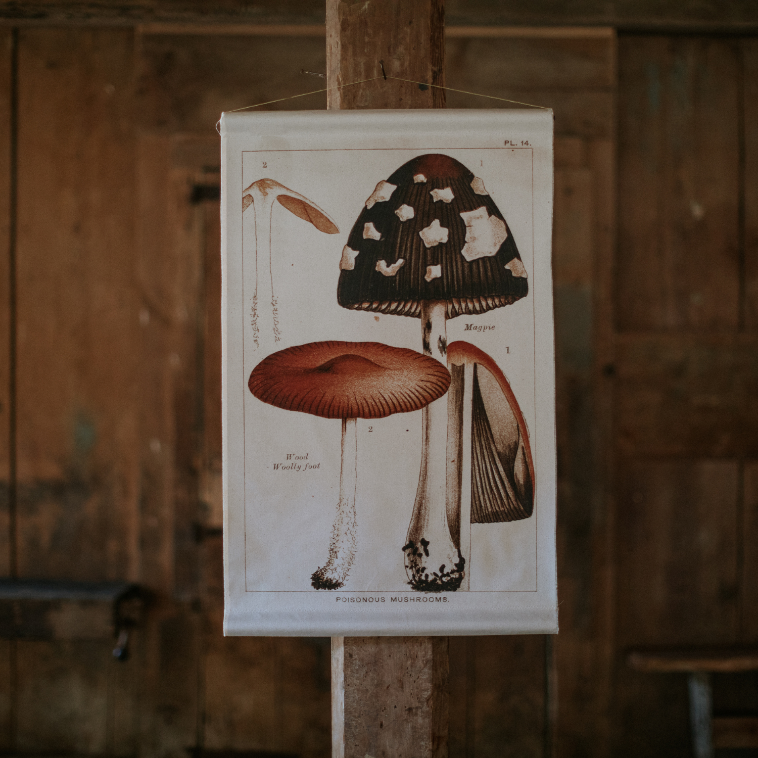 Canvas Wall Hanging - Magpie Mushroom