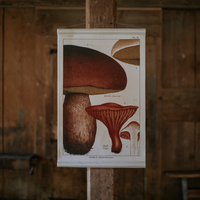 Canvas Wall Hanging - Bolete Mushroom