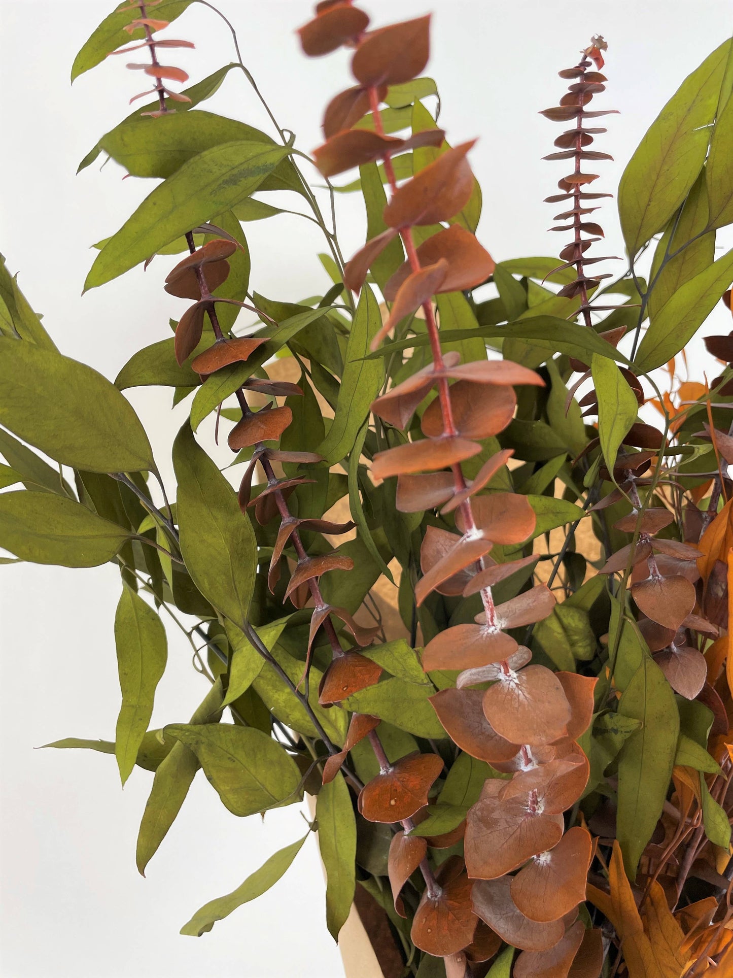 Autumn Eucalyptus Bundle - Olive
