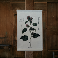 Canvas Wall Hanging - Burdock Flower