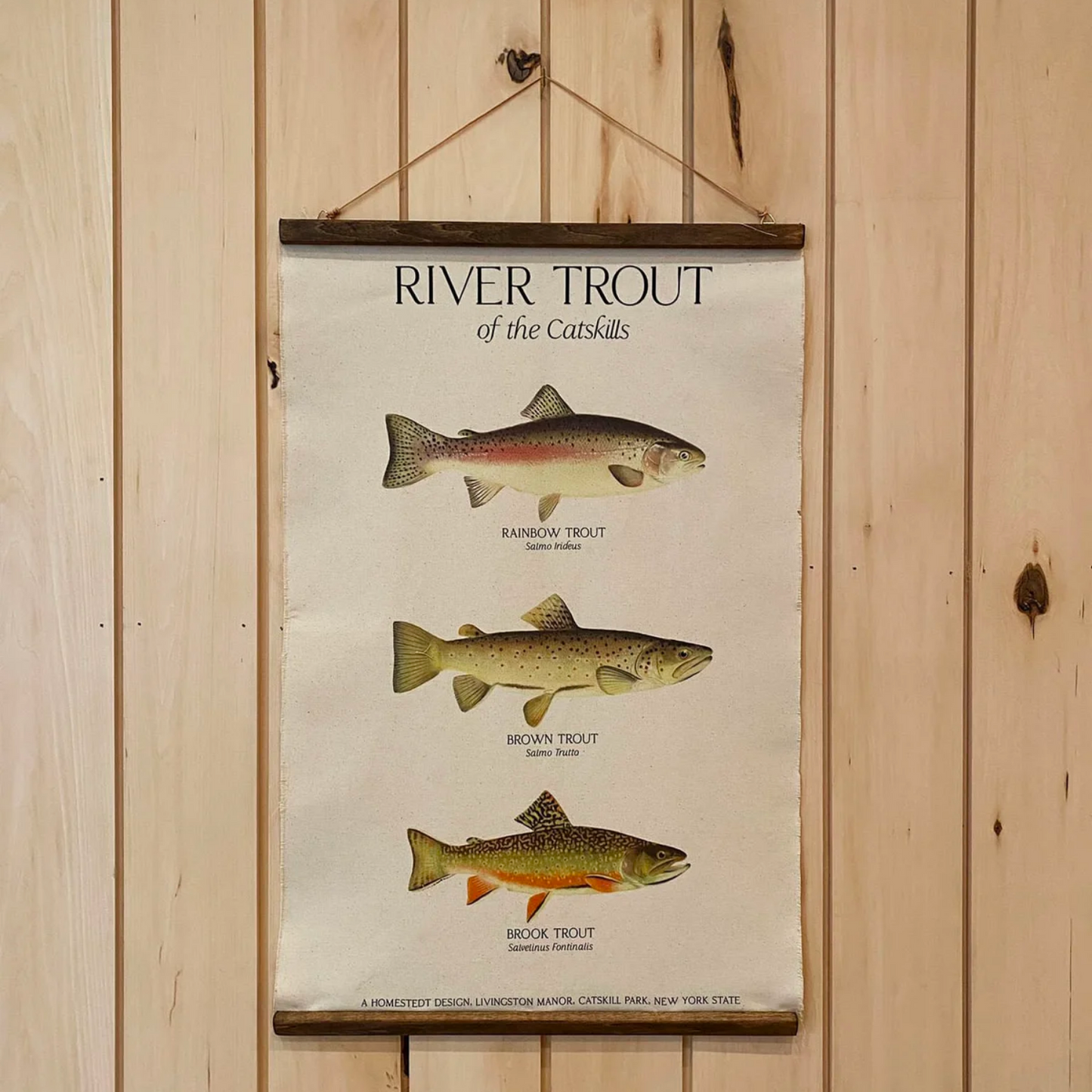 Trout of the Catskills Wall Hanging Canvas Print