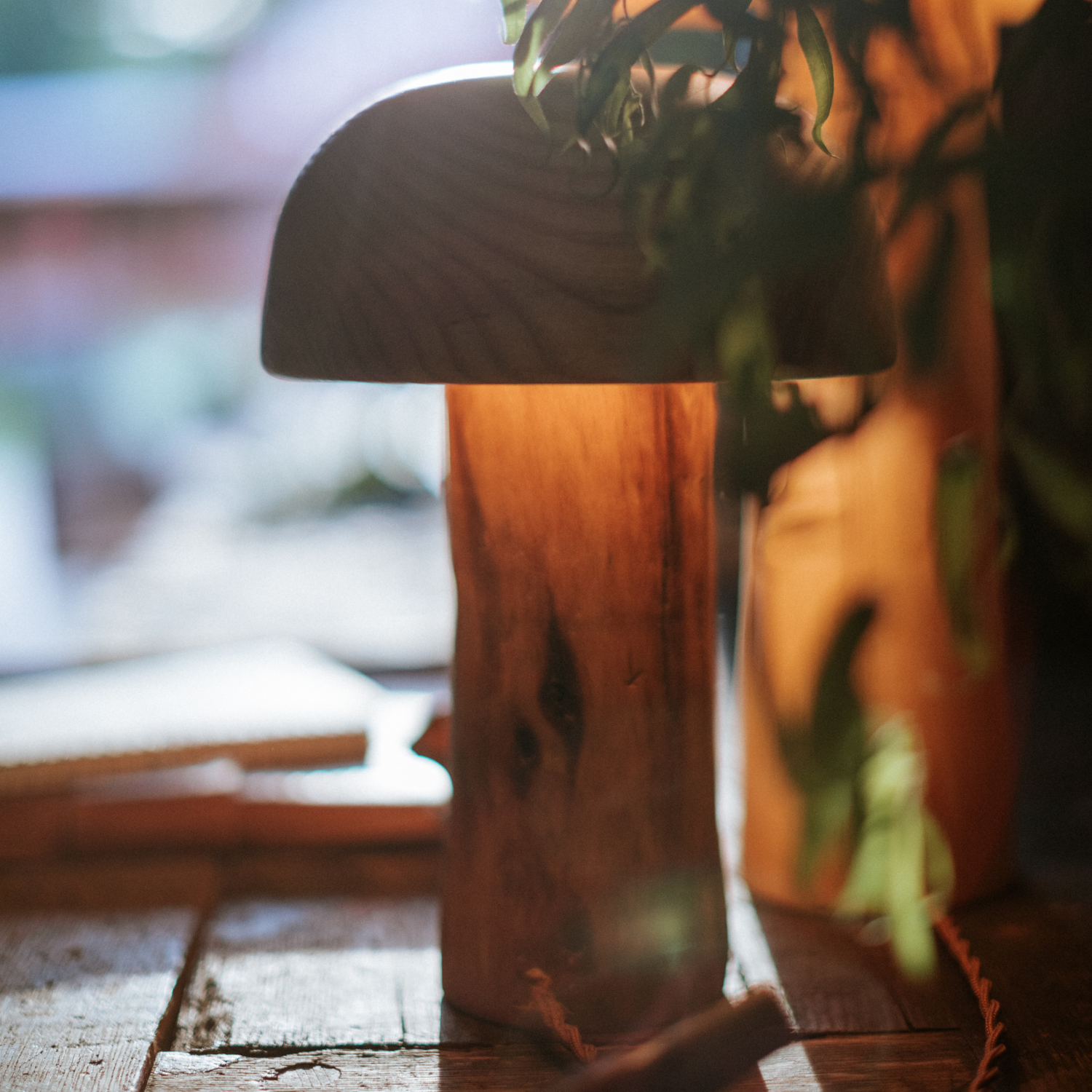 Mushroom Light : Small