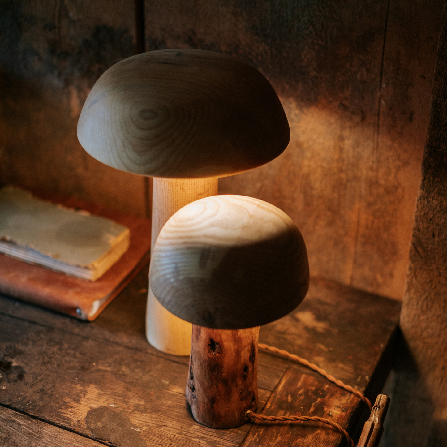 Mushroom Light : Small