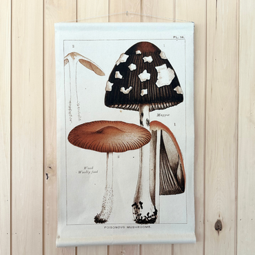 Canvas Wall Hanging - Magpie Mushroom