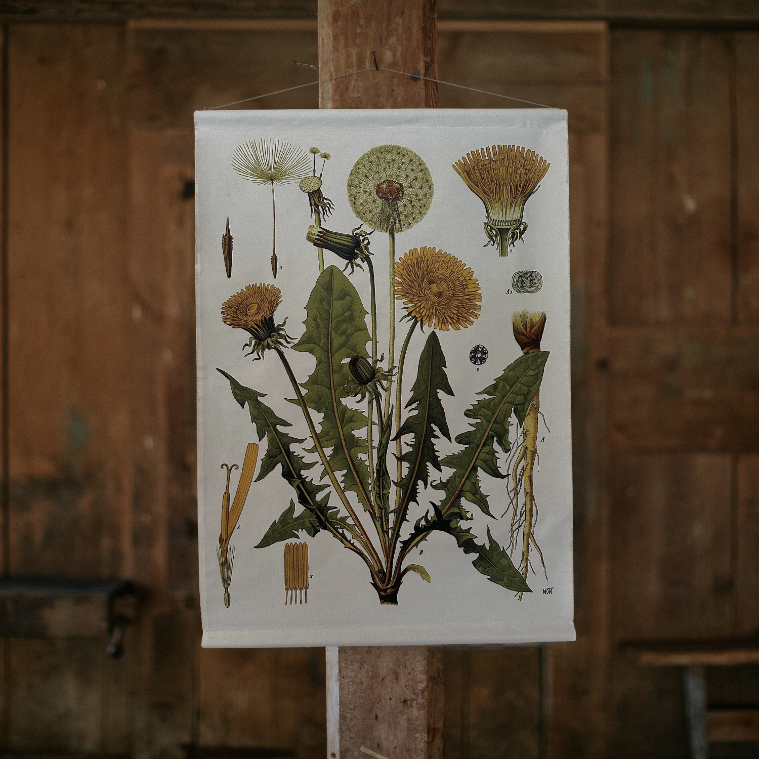 Canvas Wall Hanging - Dandelion