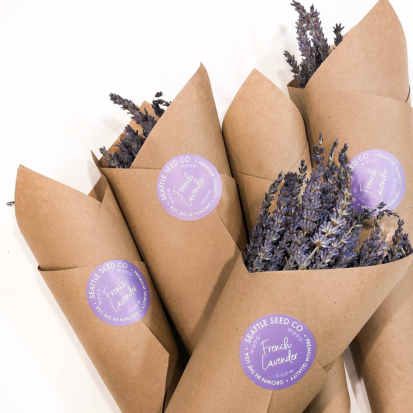 Fragrant Dried Pressed French Lavender Flowers