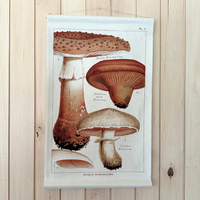 Canvas Wall Hanging - Milk Mushroom