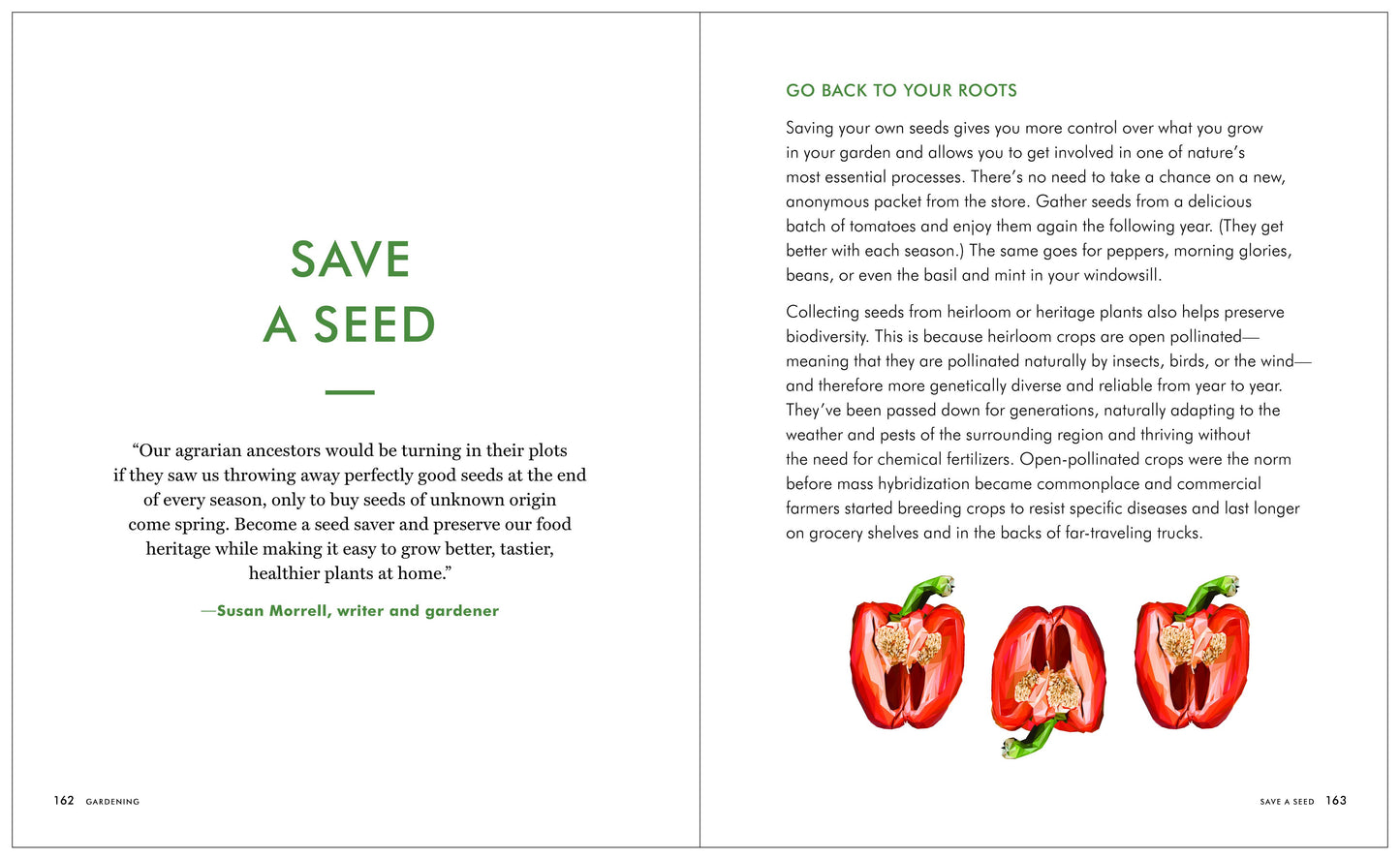 Kaufmann Mercantile Guide