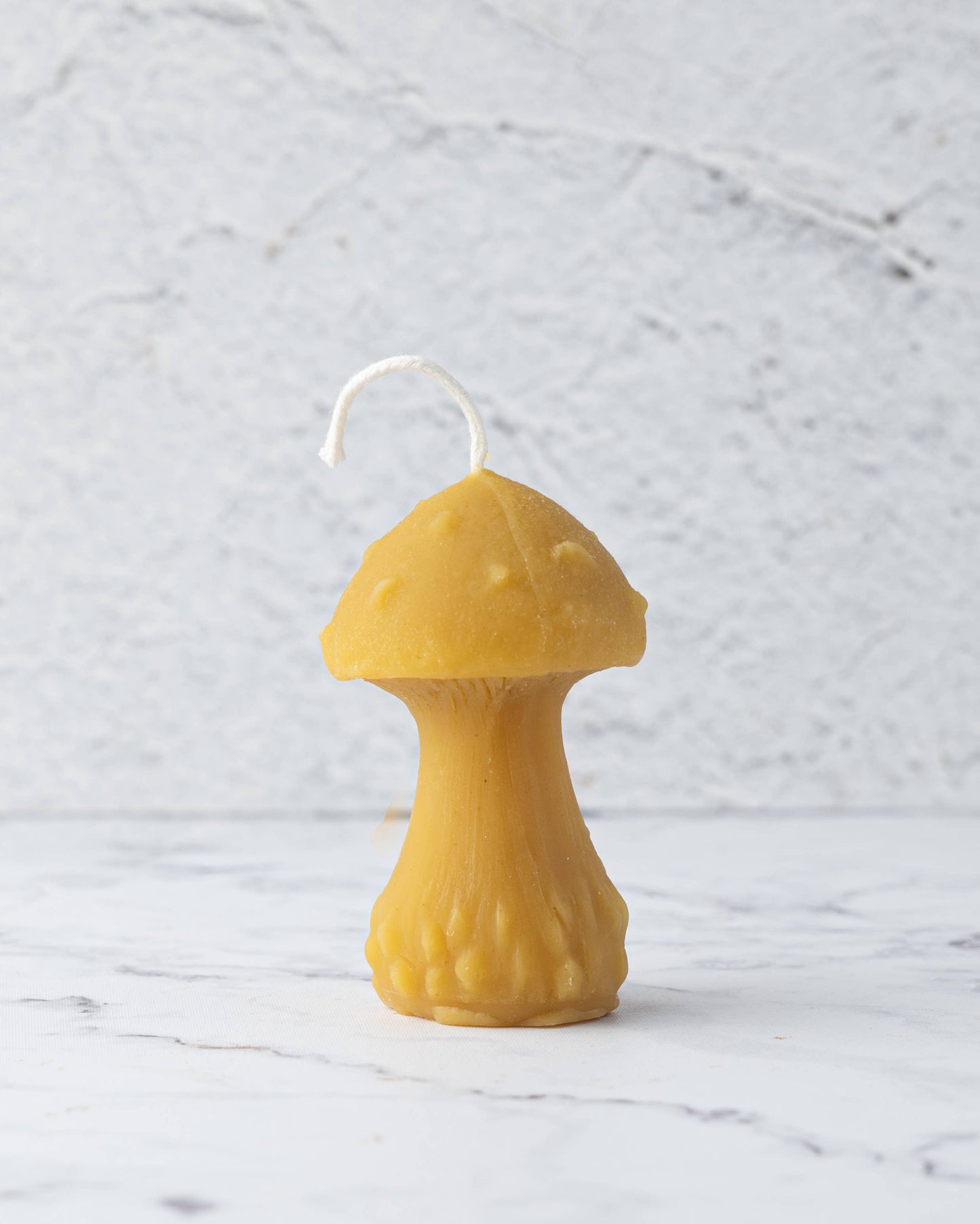 Mushroom Beeswax Candle