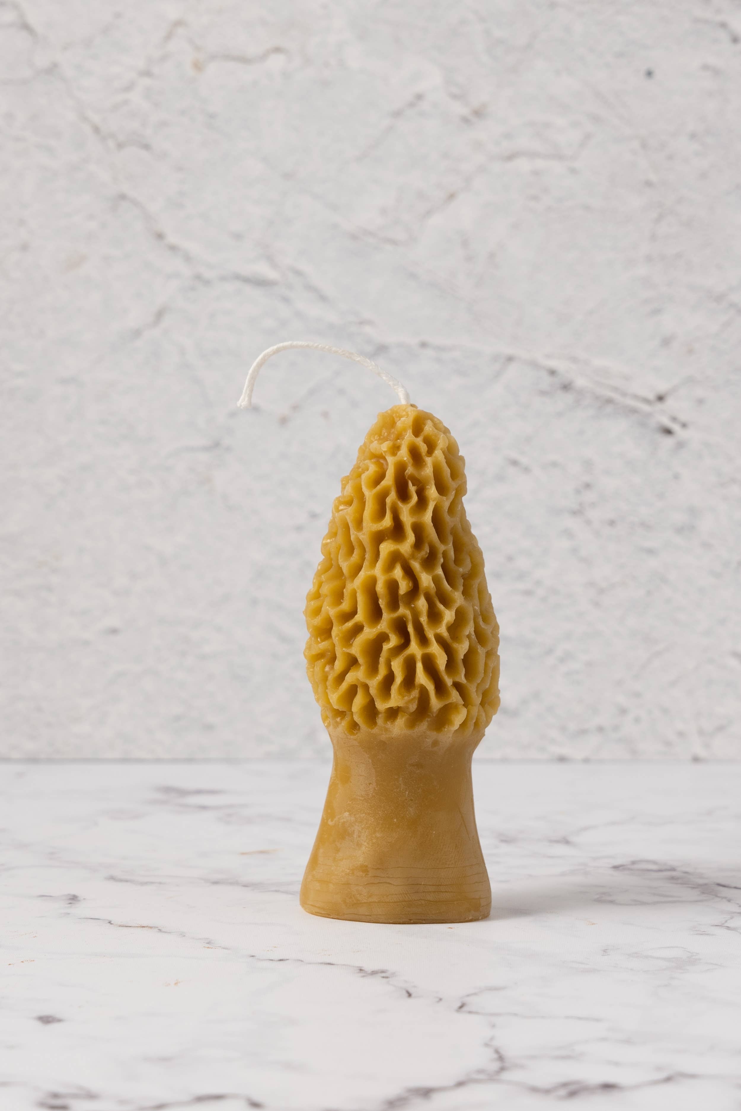 Morel Beeswax Candle