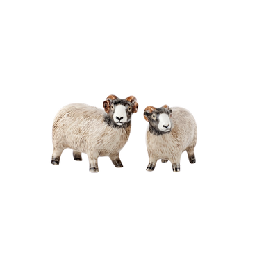 Swaledale sheep salt and pepper shaker