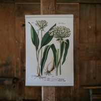 Canvas Wall Hanging - Wild Garlic / Ramp