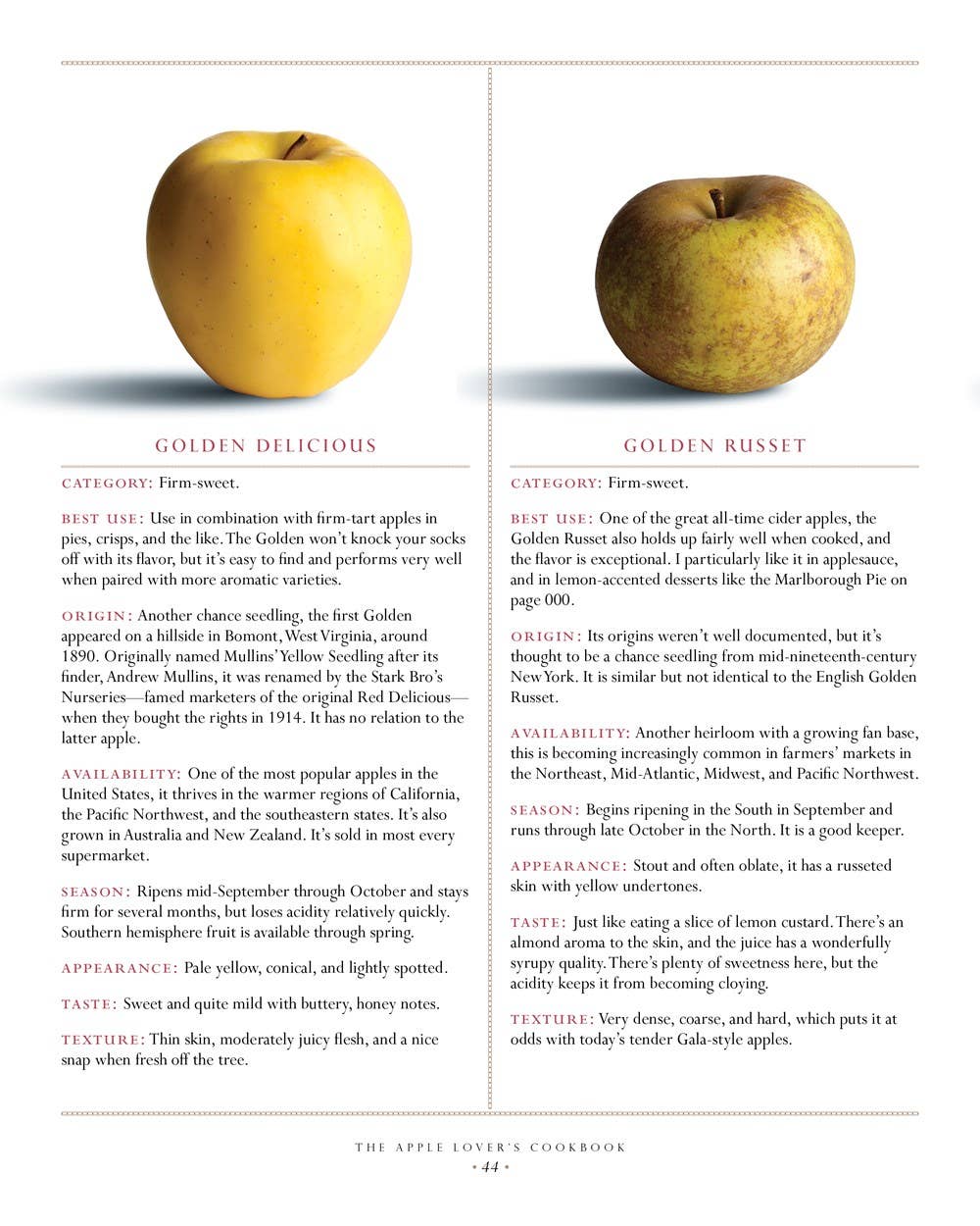 The Apple Lover's Cookbook: Revised and Updated