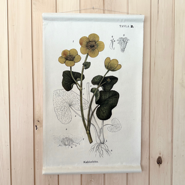 Canvas Wall Hanging - Yellow Marsh Marigold Flower