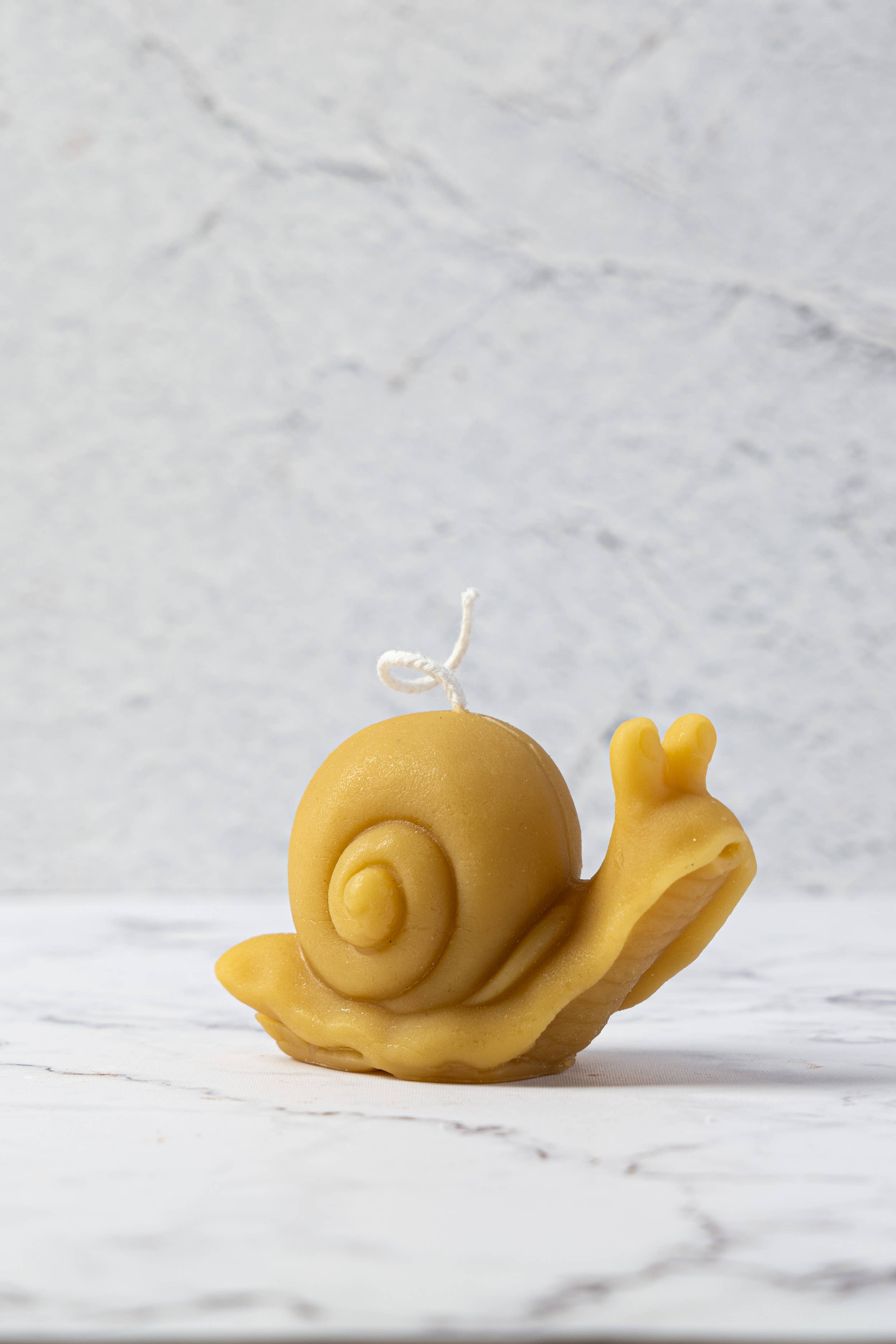 Snail Beeswax Candle