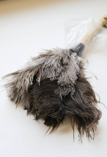 Natural Ostrich Feather Duster