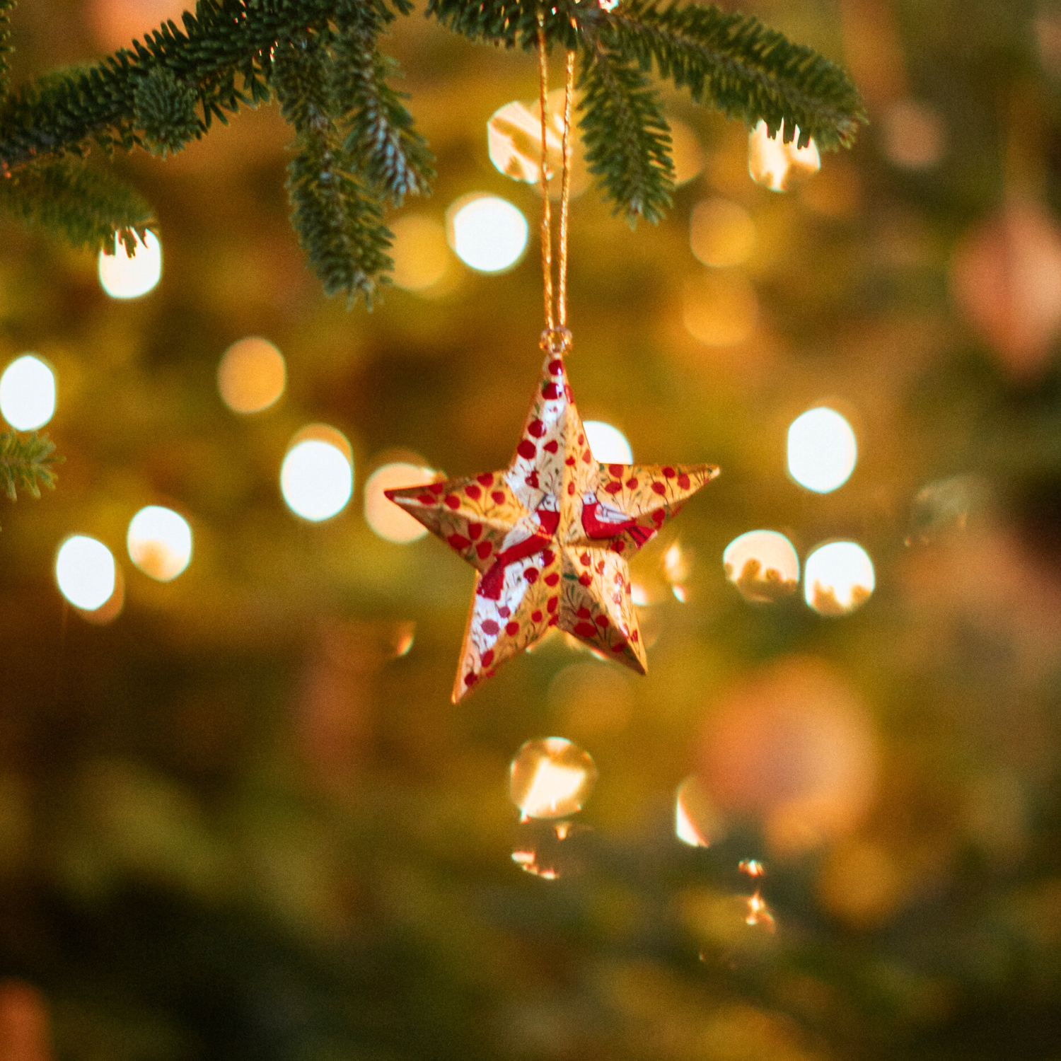 Red and Gold Bird Hanging Star