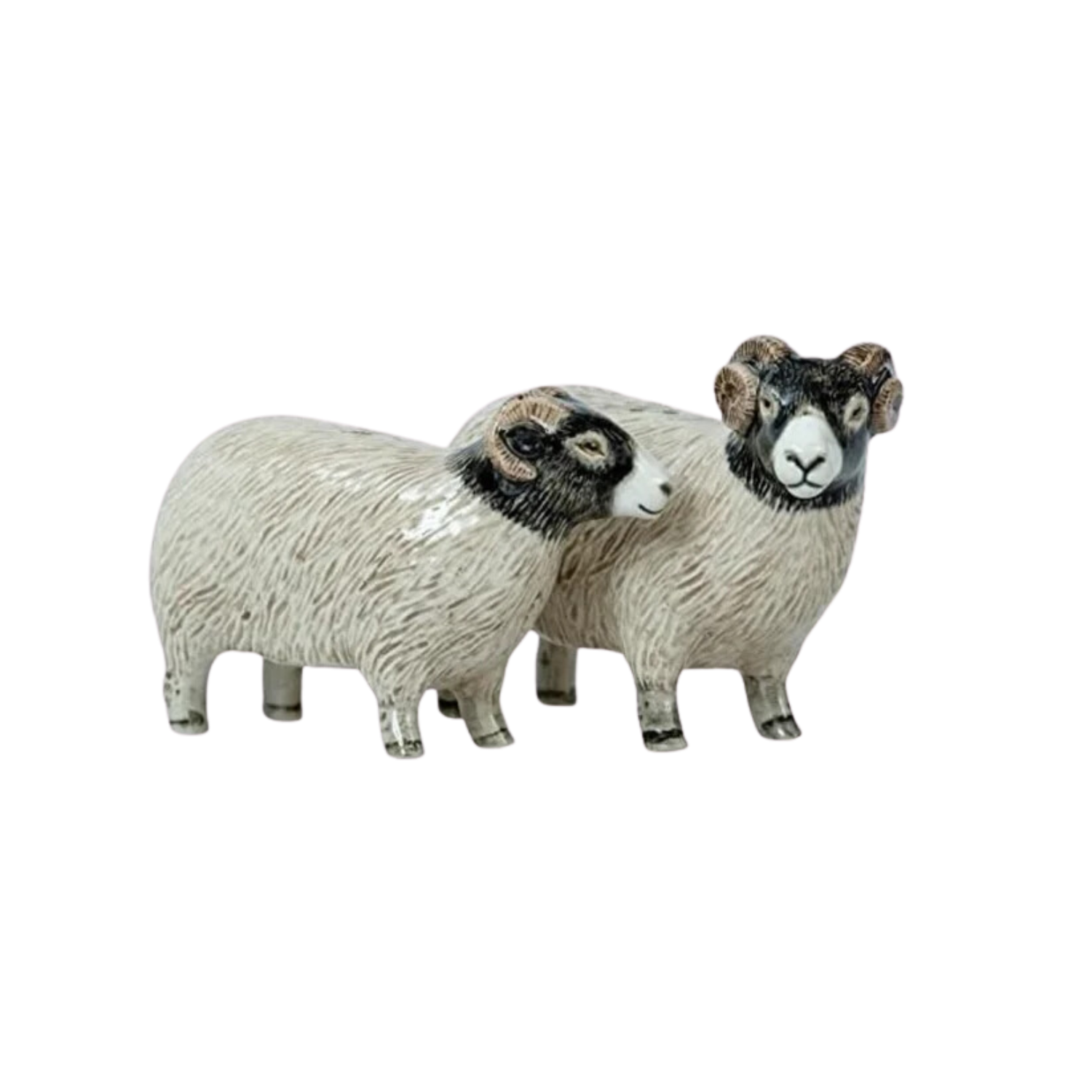 Swaledale sheep salt and pepper shaker