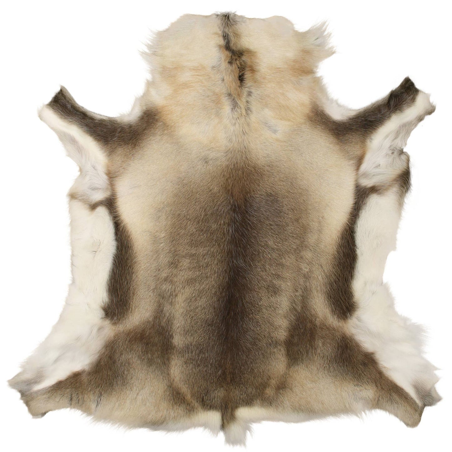 Reindeer skin