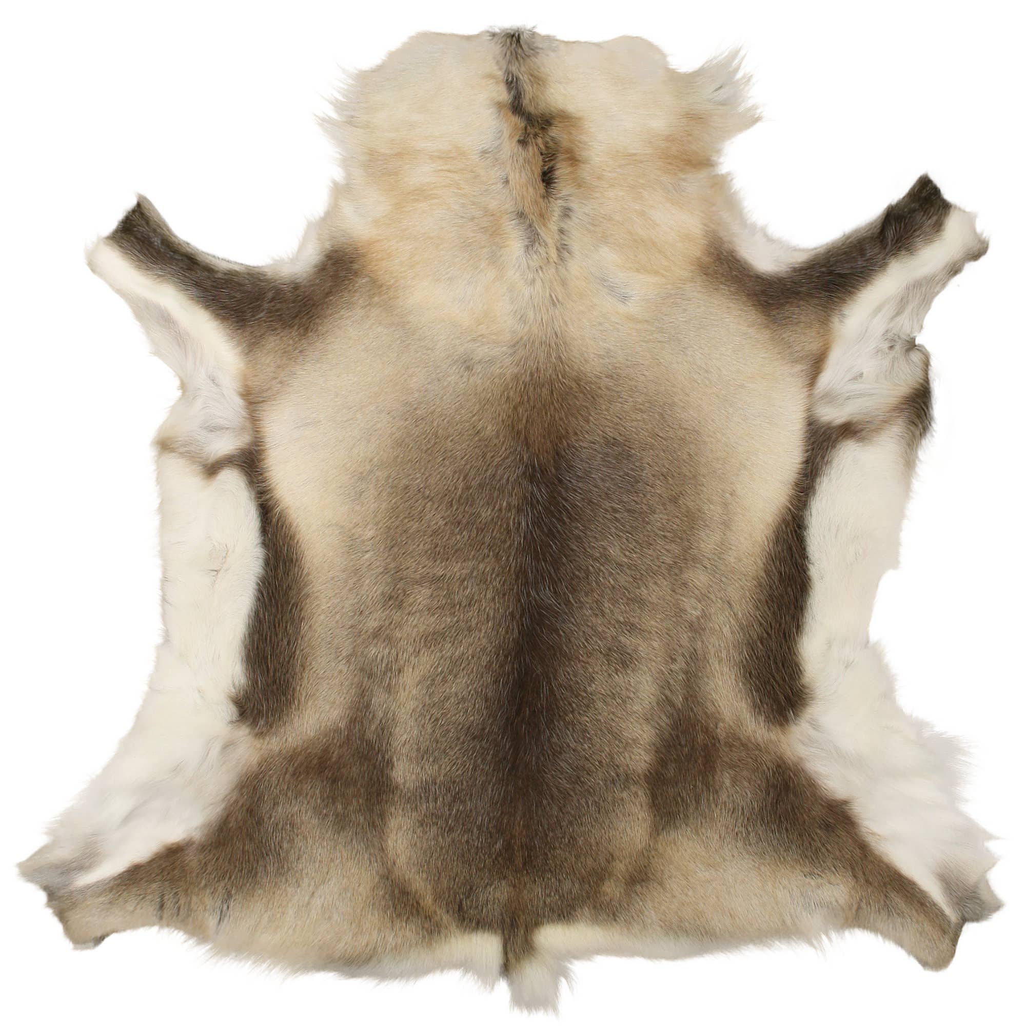 Reindeer skin