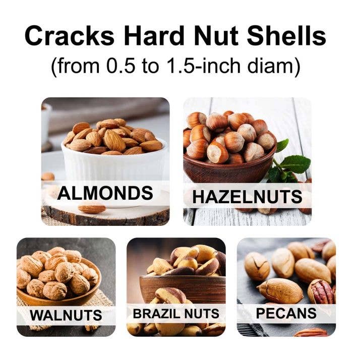 HIC Kitchen The Squirrel Nutcracker