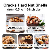 HIC Kitchen The Squirrel Nutcracker