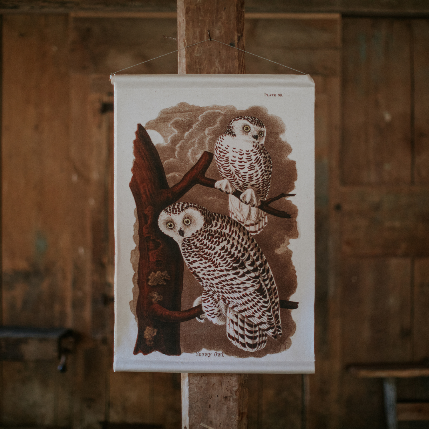 Canvas Wall Hanging - Snowy Owl