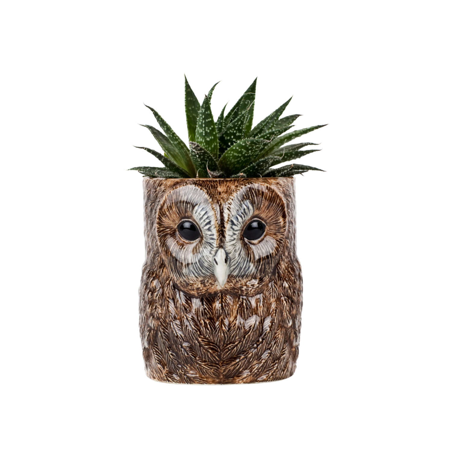 Tawny Owl Pencil Pot