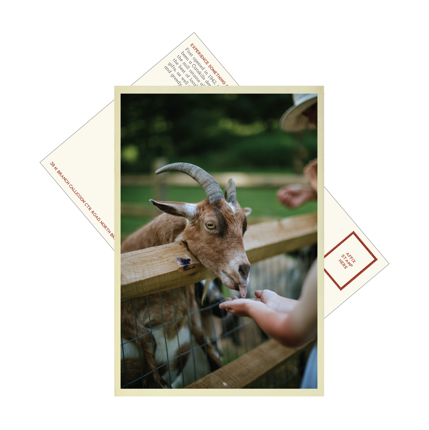 Cider Mill Postcards