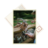Cider Mill Postcards