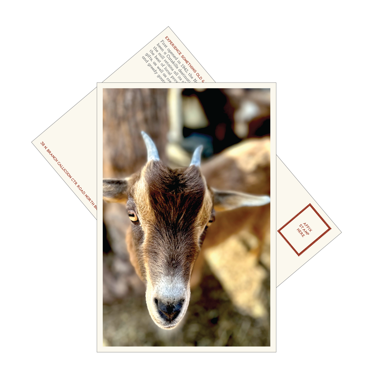 Cider Mill Postcards