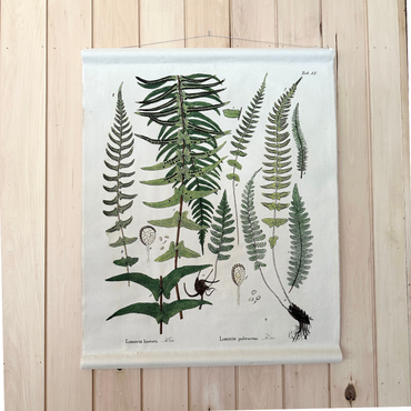 Canvas Wall Hanging - Felt Fern