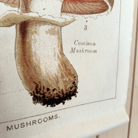 Canvas Wall Hanging - Milk Mushroom