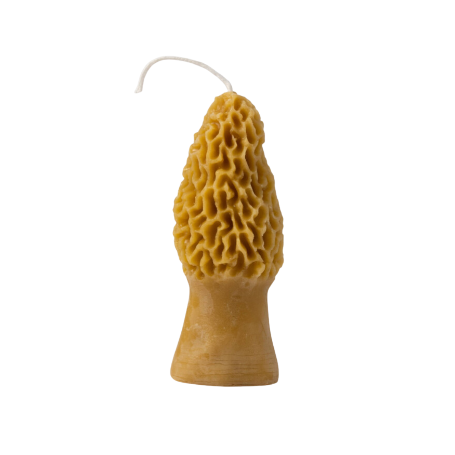 Morel Beeswax Candle