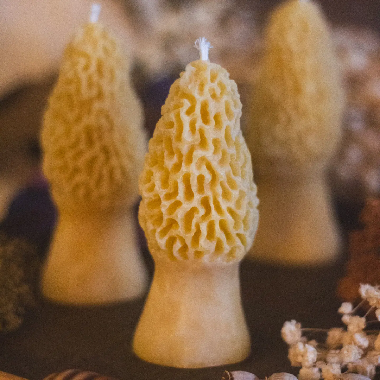 Morel Beeswax Candle