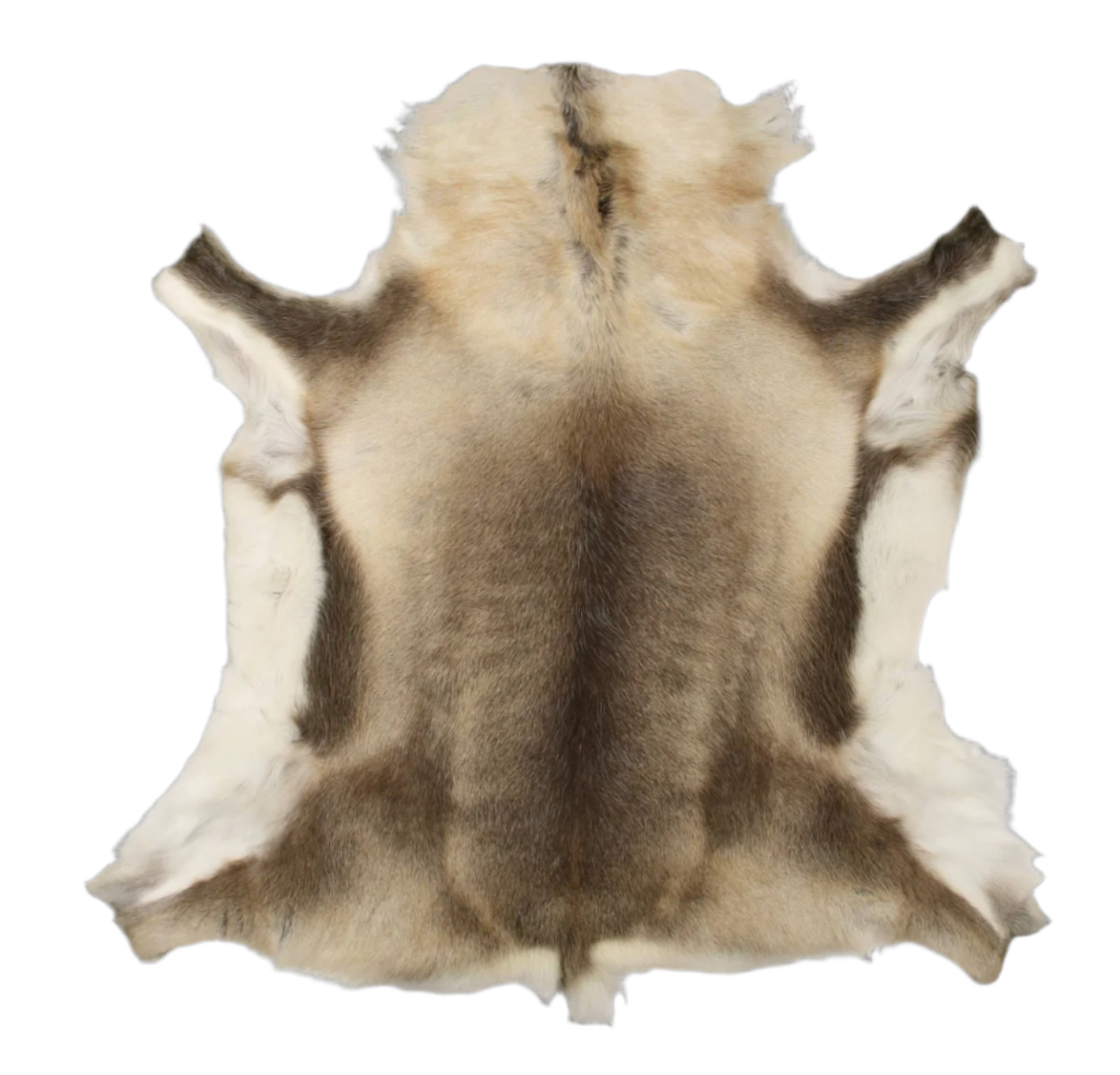 Reindeer skin